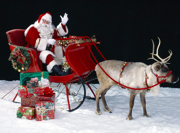 Hình ảnh ông già Noel và tuần lộc đi phát quà